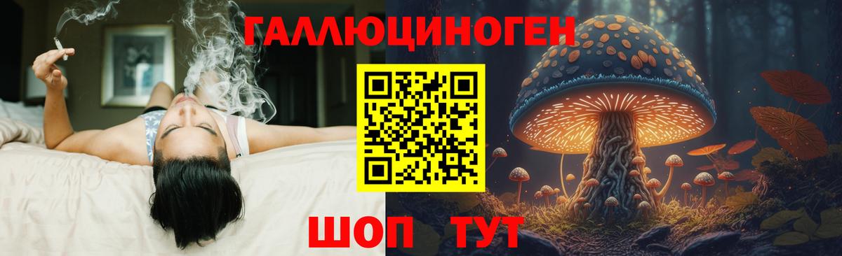 Псилоцибиновые грибы Psilocybine cubensis  Вход с VPN  Псилоцибиновые грибы ЛСД  Балтийск 